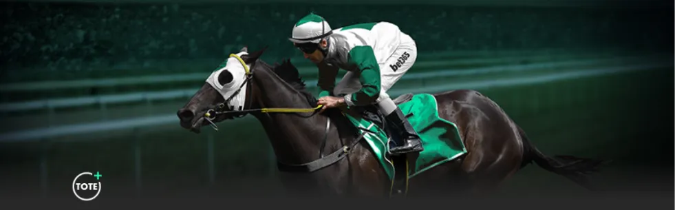 小新脱口秀,吐槽足球勿,人身攻击,开云体育,开云体育官网,开云体育app,开云体育app下载