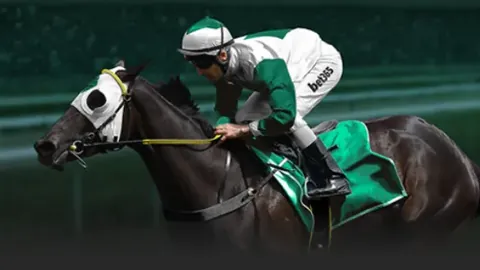 小新脱口秀：吐槽足球勿人身攻击